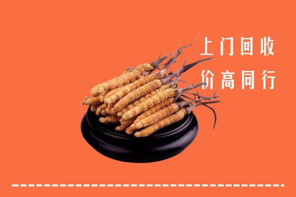 高价求购：东山县回收散虫草